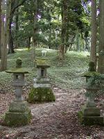 マウスクリックで拡大/縮小します