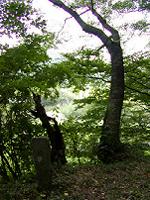 マウスクリックで拡大/縮小します