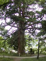 マウスクリックで拡大/縮小します