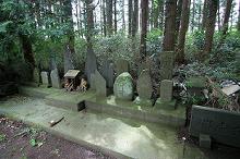 マウスクリックで拡大/縮小します