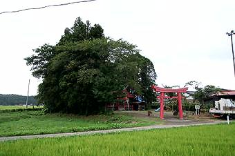 マウスクリックで拡大/縮小します