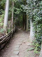 マウスクリックで拡大/縮小します