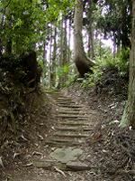 マウスクリックで拡大/縮小します