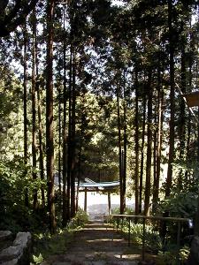 マウスクリックで拡大/縮小します