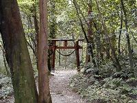 マウスクリックで拡大/縮小します