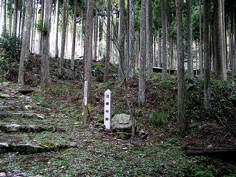 マウスクリックで拡大/縮小します