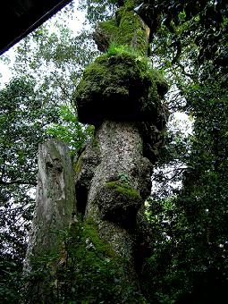 マウスクリックで拡大/縮小します