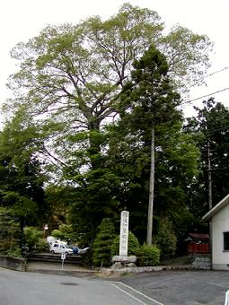 マウスクリックで拡大/縮小します