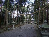 マウスクリックで拡大/縮小します