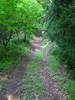 マウスクリックで拡大/縮小します