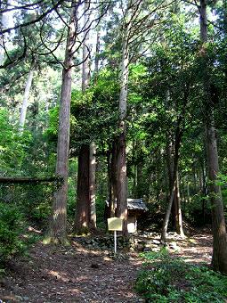 マウスクリックで拡大/縮小します