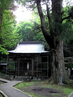 マウスクリックで拡大/縮小します