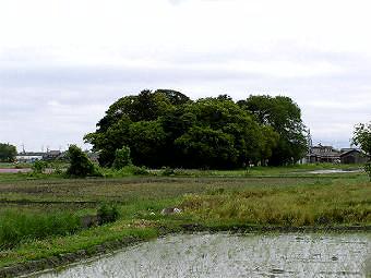 マウスクリックで拡大/縮小します
