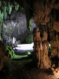 マウスクリックで拡大/縮小します