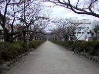 マウスクリックで拡大/縮小します