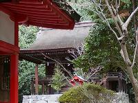 マウスクリックで拡大/縮小します