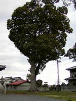 マウスクリックで拡大/縮小します