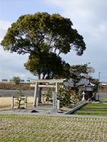 マウスクリックで拡大/縮小します