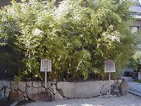 マウスクリックで拡大/縮小します