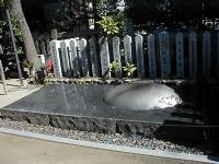 マウスクリックで拡大/縮小します