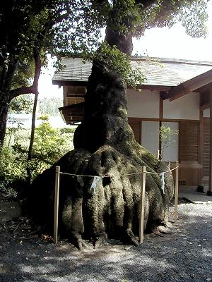 マウスクリックで拡大/縮小します