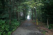 マウスクリックで拡大/縮小します