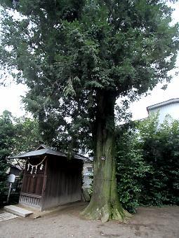 マウスクリックで拡大/縮小します