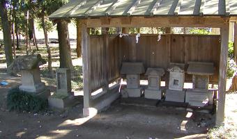 マウスクリックで拡大/縮小します