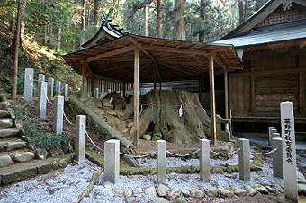 マウスクリックで拡大/縮小します