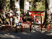 マウスクリックで拡大/縮小します