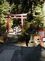 マウスクリックで拡大/縮小します