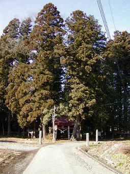 マウスクリックで拡大/縮小します