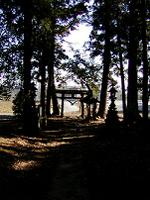 マウスクリックで拡大/縮小します