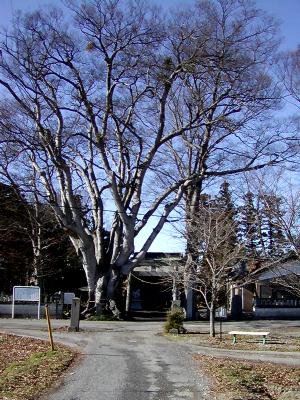 マウスクリックで拡大/縮小します