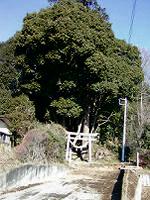 マウスクリックで拡大/縮小します