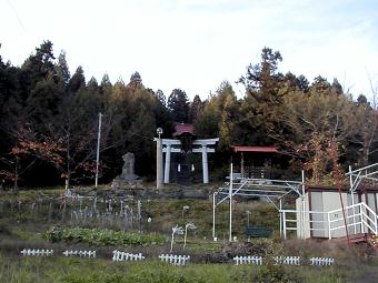 マウスクリックで拡大/縮小します