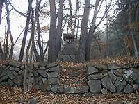 マウスクリックで拡大/縮小します