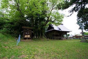 マウスクリックで拡大/縮小します