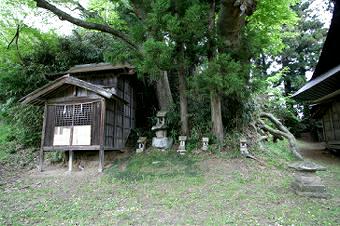 マウスクリックで拡大/縮小します