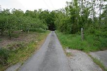 マウスクリックで拡大/縮小します