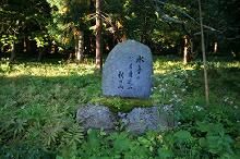 マウスクリックで拡大/縮小します