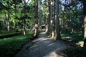 マウスクリックで拡大/縮小します