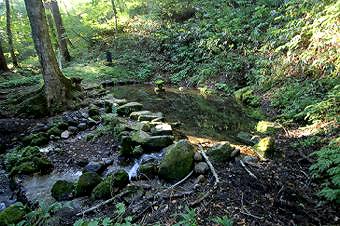 マウスクリックで拡大/縮小します