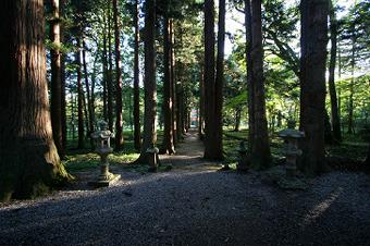 マウスクリックで拡大/縮小します