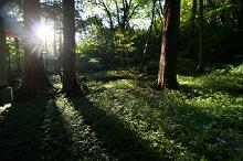 マウスクリックで拡大/縮小します