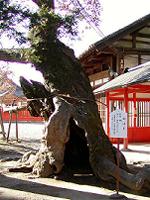 マウスクリックで拡大/縮小します