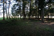 マウスクリックで拡大/縮小します