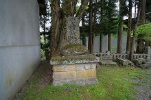 マウスクリックで拡大/縮小します