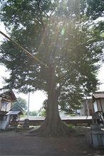 マウスクリックで拡大/縮小します