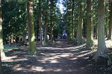 マウスクリックで拡大/縮小します